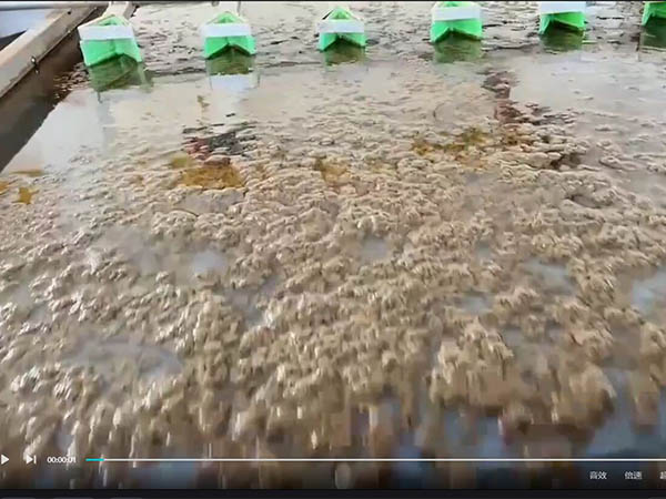 洗沙厂污水使用聚丙烯酰胺现场拍摄